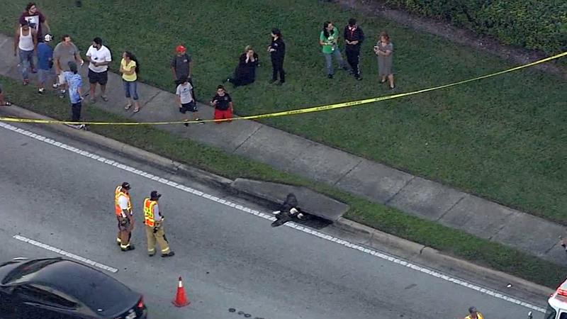 Two bald eagles stuck inside a storm drain in Orange County, Florida (Screenshot via WFTV)
